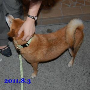 20110803_1.jpg