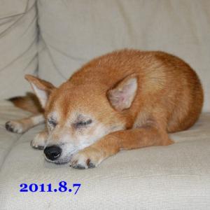 20110807_2.jpg