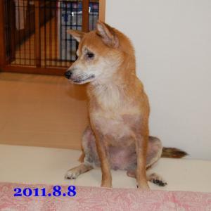 20110808_1.jpg