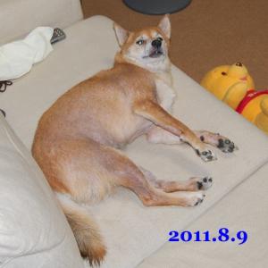 20110809_1.jpg
