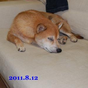 20110812_1.jpg
