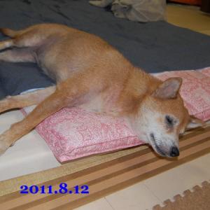 20110812_2.jpg