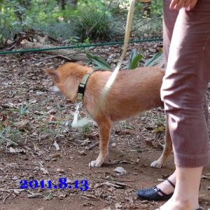 20110813_2.jpg