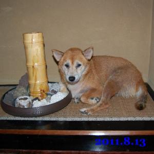 20110813_4.jpg