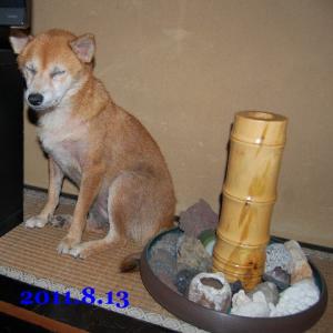 20110813_5.jpg