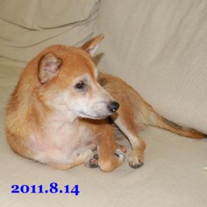 20110814_1.jpg