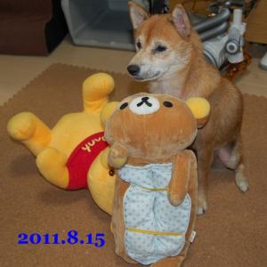 20110815_2.jpg