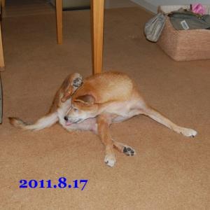 20110817_2.jpg
