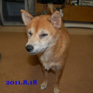 20110818_1.jpg