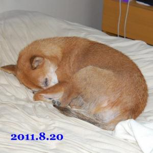 20110820_1.jpg