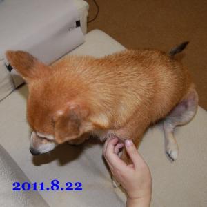 20110822_1.jpg