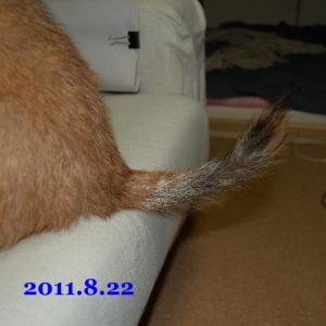 20110822_2.jpg