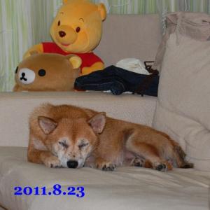 20110823_2.jpg