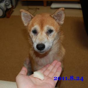 20110824_1.jpg