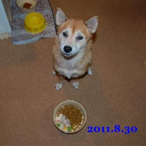 20110830_1.jpg