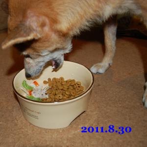 20110830_2.jpg