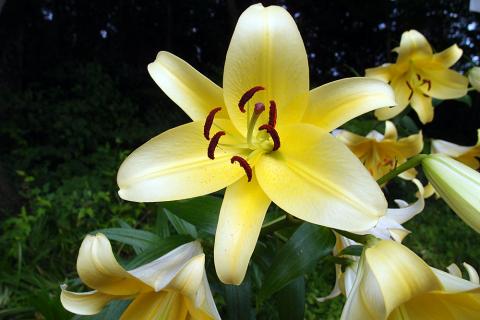 xz1-P7220358.jpg