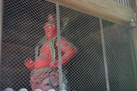IMG_8016-220824A.jpg
