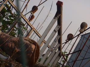 110604e.jpg
