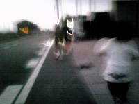 110702i.jpg