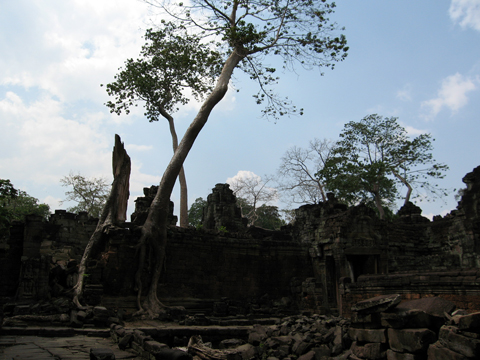 Angkor11110-4.jpg