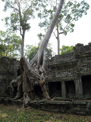 Angkor11110-6.jpg