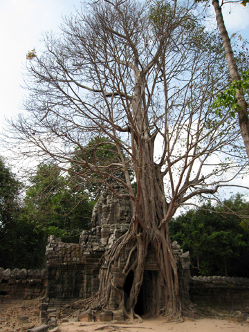 Angkor123009-7.jpg