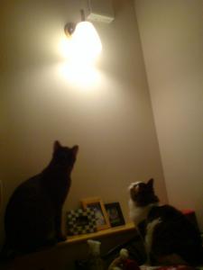 1_20090926203641.jpg