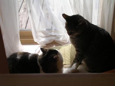 1_20100104004640.jpg