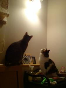 2_20090926203640.jpg