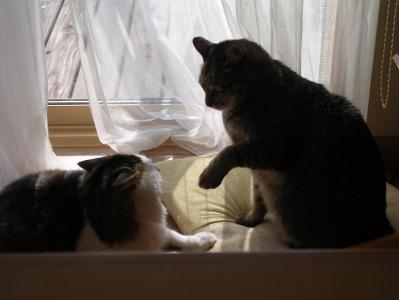 2_20100104004639.jpg