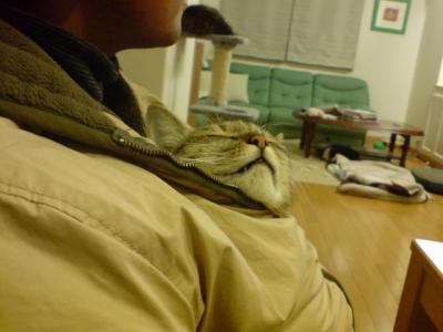 2_20100108220045.jpg