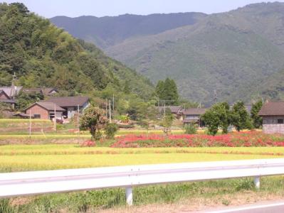 3_20090925231253.jpg