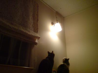 3_20090926203640.jpg