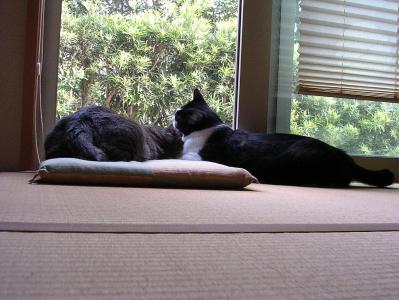 DSCN8097.jpg