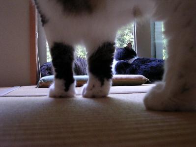 DSCN8098.jpg