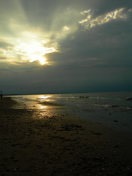 2011june052