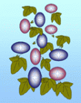夏の花22