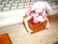 I SAID GET OUT OF THAT BOX