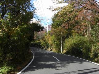 CIMG1483.jpg