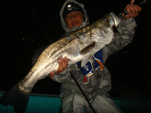 20090521DSC03608.gif