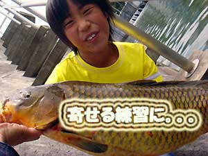200906051.jpg
