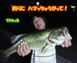 200906231.gif