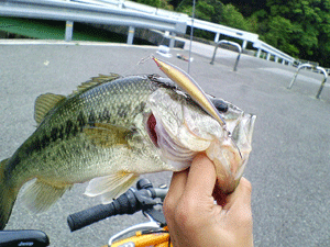 20090623NEC_0086.gif