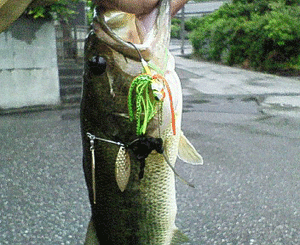 20090623NEC_0095.gif