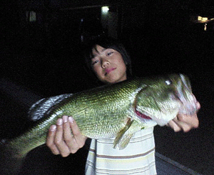 20090623NEC_0103.gif