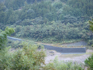 2009100708.jpg