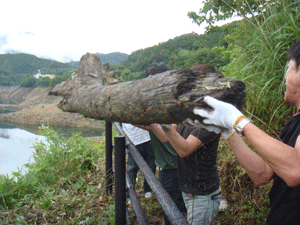 DSC03715.gif