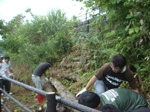 DSC03716.gif