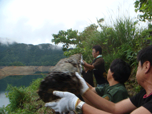 DSC03717.gif